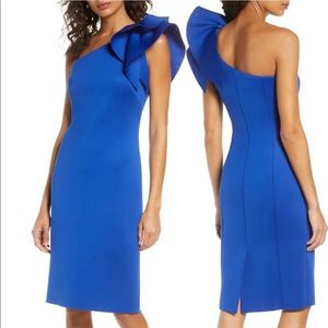 One-Shoulder Ruffle Sheath Dress
ELIZA J